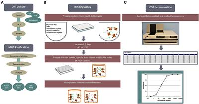 A Review on T Cell Epitopes Identified Using Prediction and Cell-Mediated Immune Models for Mycobacterium tuberculosis and Bordetella pertussis